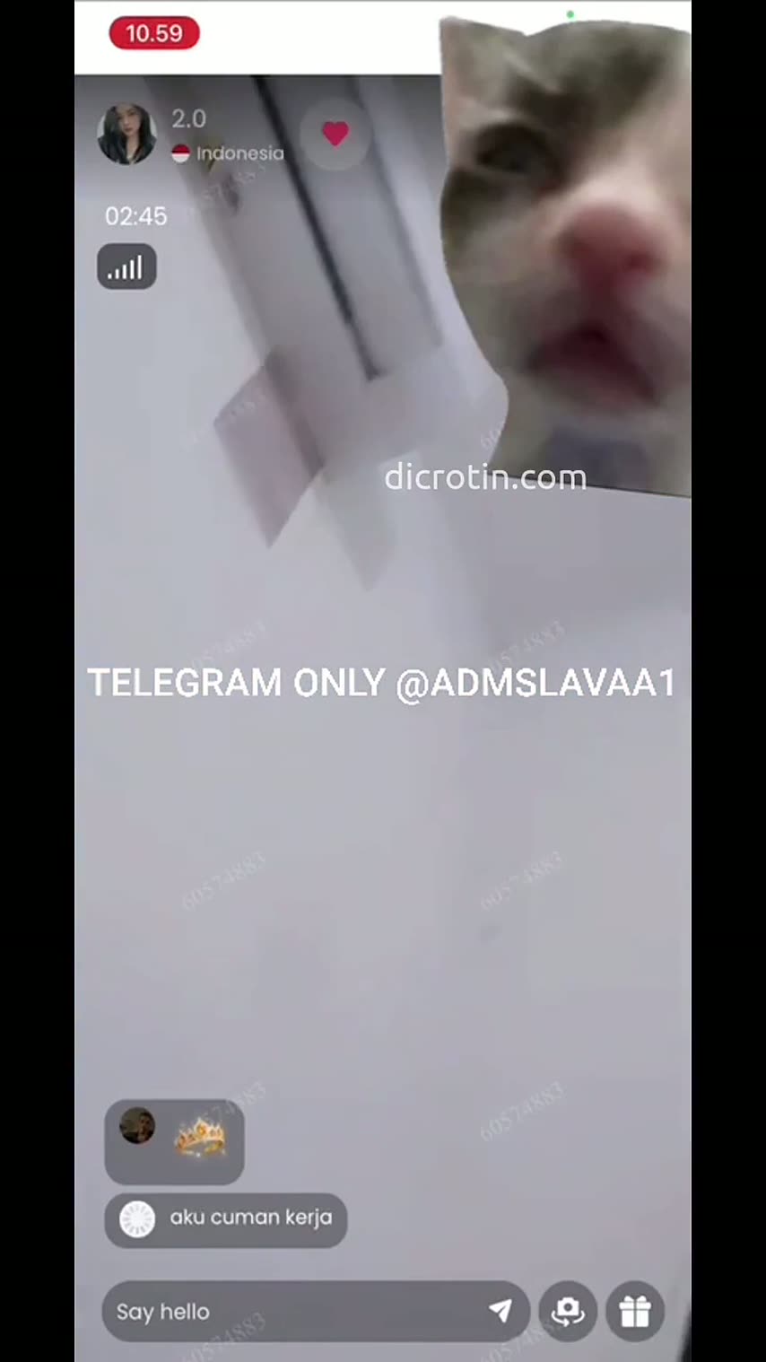 Sinta Chindo Mulus Banget Live Koncil Bareng